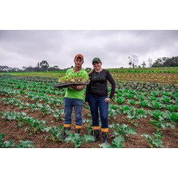 Festa do Agricultor de Campo Largo  chega à 5ª edição em 2026